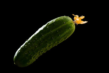 Sticker - Green cucumber isolated