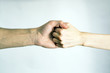 © Руслан Галиуллин - Handshake on white background