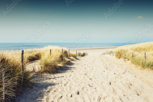 Dekoracja na wymiar  piaszczyste-wydmy-na-wybrzezu-morza-w-noordwijk-holandia-europa