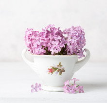  Retro Still Life With Small  Pale Pink Bouquet Of Lilac  Against  Background Of  A White  Wall.