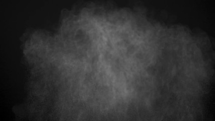 Wall Mural - white powder exploding isolated on black