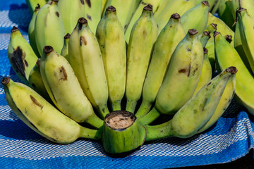 Bananas sold in local markets. thailand