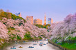 Chidorigafuchi park with full bloom sakura