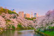 Chidorigafuchi park with full bloom sakura