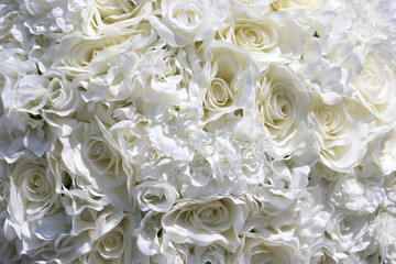  白い薔薇、背景素材