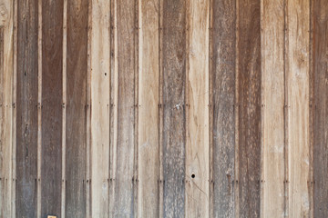 wood texture background 