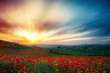 © oraziopuccio - Zen tramonto con fiori di papavero