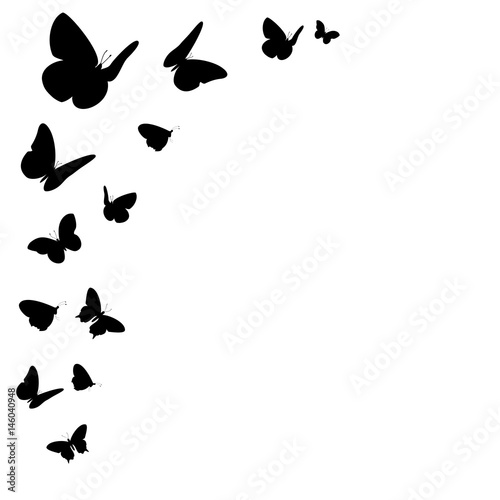 Fotografía Bordüre mit schwarzen Schmetterling Silhouetten