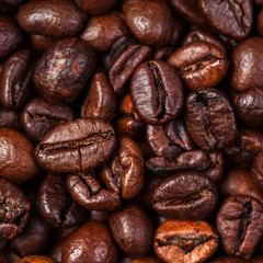 Poster - Coffee beans background macro. Dark Roasted coffee beans textured wallpaper for your design with copy space.