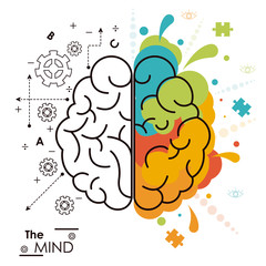 the mind brain human functions left right design vector illustration
