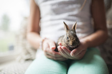 Midsection Of Girl Holding Bunny While Sitting On Sofa