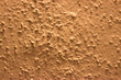 © Jiri - Dark cream color grained wall paint