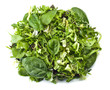 Fresh green salad  isolated on white background