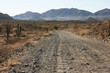 Long distance cycling on remote and deserted gravel roads, Sonoran Desert, Baja California Norte, Mexico