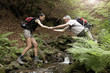© Walter Zerla/Blend Images - Caucasian man helping woman crossing forest river