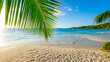 canvas print picture - Palmen am tropischen Strand: Anse Lazio, Praslin, Seychellen