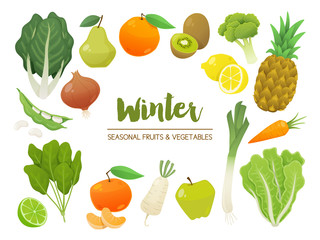 Collection of seasonal fruits and vegetables. Winter time collection. Vector illustration.