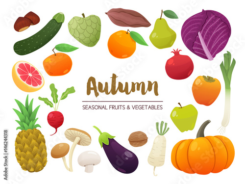 Fotografie, Obraz Collection of seasonal fruits and vegetables
