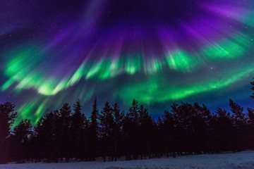 heaven dance