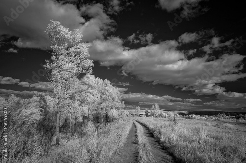 Fotomural Landscape in infrared light
