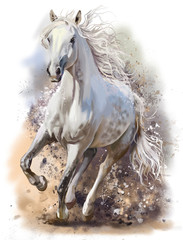  Biały koń prowadzi malarstwo akwarelowe