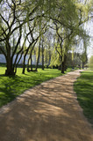 Fototapeta Londyn - Public park in early spring, nature beginning turn to green