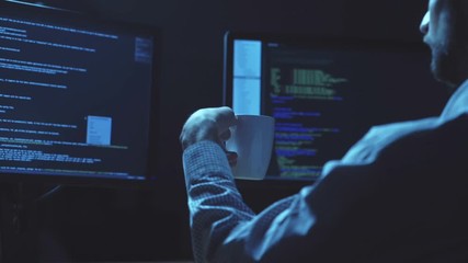 Professional programmer writing a programming code