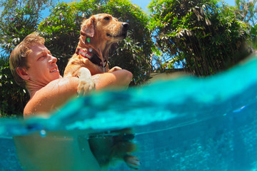 Young man play with fun and train golden labrador retriever puppy in swimming pool - jump and dive underwater. Funny games with family pets and popular dog breeds like companion.