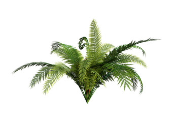 Sticker - 3D Rendering Giant Fern on White