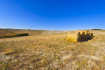 Canvas Print - Landscape with Straw Bales