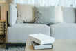 Light gray sofa with pillows in modern style living room with books