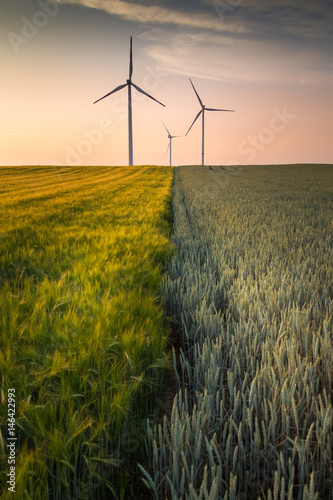 Plakat Produkcja energii wiatrowej z turbin wiatrowych w polu
