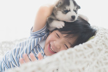 Cute Asian Child Playing With Siberian Husky Puppy