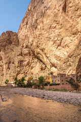 Wall Mural - Todra river in Todgha Gorge - Morocco