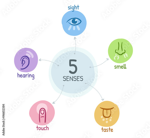 Five senses with simple hand drawn icons in a mind map design Stock ...