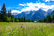 © Zoegraphy - View of beautiful landscape with fresh green meadows, blooming flowers and snow-capped mountains background in summer