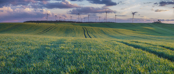 Wall Mural - storm clouds over the spring field