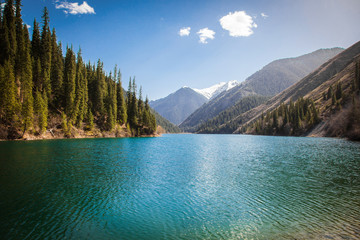 Majestic blue mountain lake with green trees