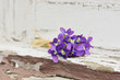 Small bouquet of violets on a wooden background 