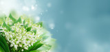 Bunch of Lilly of valley flowers blue bokeh background banner