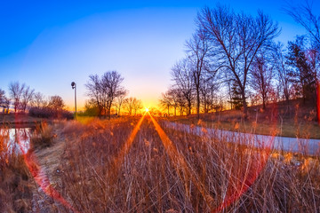 Wall Mural - Sunrise at Humber Bay Park, Toronto, Ontario, Canada