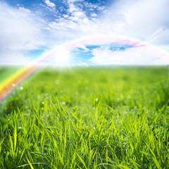 Sticker - Field of green grass on a sunny day with a blue sky and a rainbow