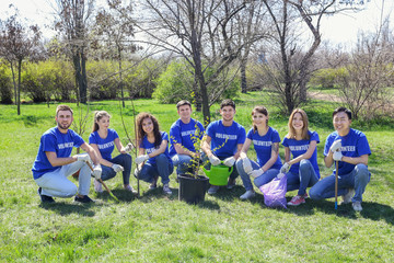 Sticker - Group of volunteers in park on sunny day