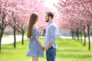 Canvas Print - Young lovely couple walking in spring park