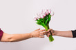 © Lola Fdez. Nogales - Manos cogiendo un ramo de tulipanes rosas.