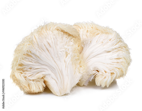 Fotomural lion mane mushroom isolated on white background
