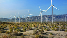 Wind Turbine Farm And Array