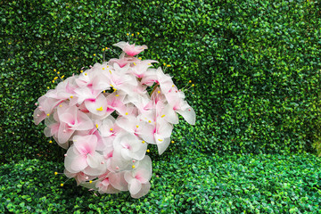 Poster - beautiful pink and white flowers on artificial green grass wall and floor