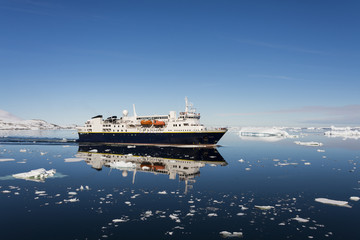 Wall Mural - Passenger vessel in antarctica