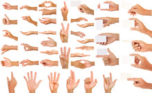Collection Of Hands